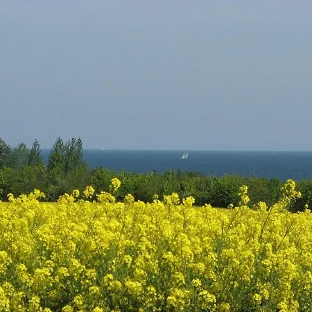 公寓 Kleiner Seezauber - Abc555 *