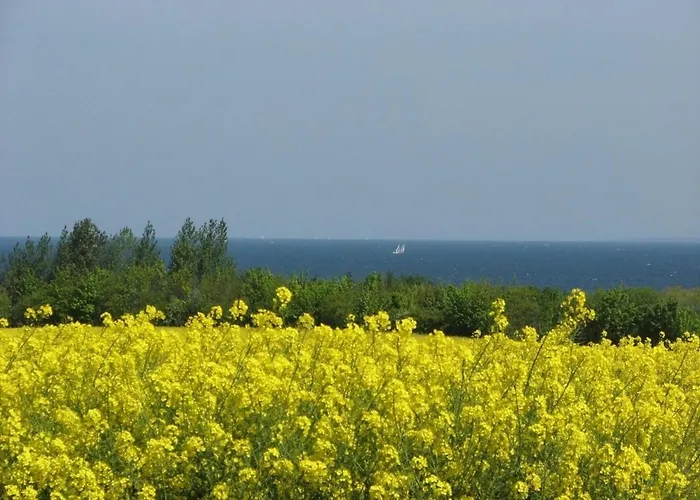 公寓 Kleiner Seezauber - Abc555 *